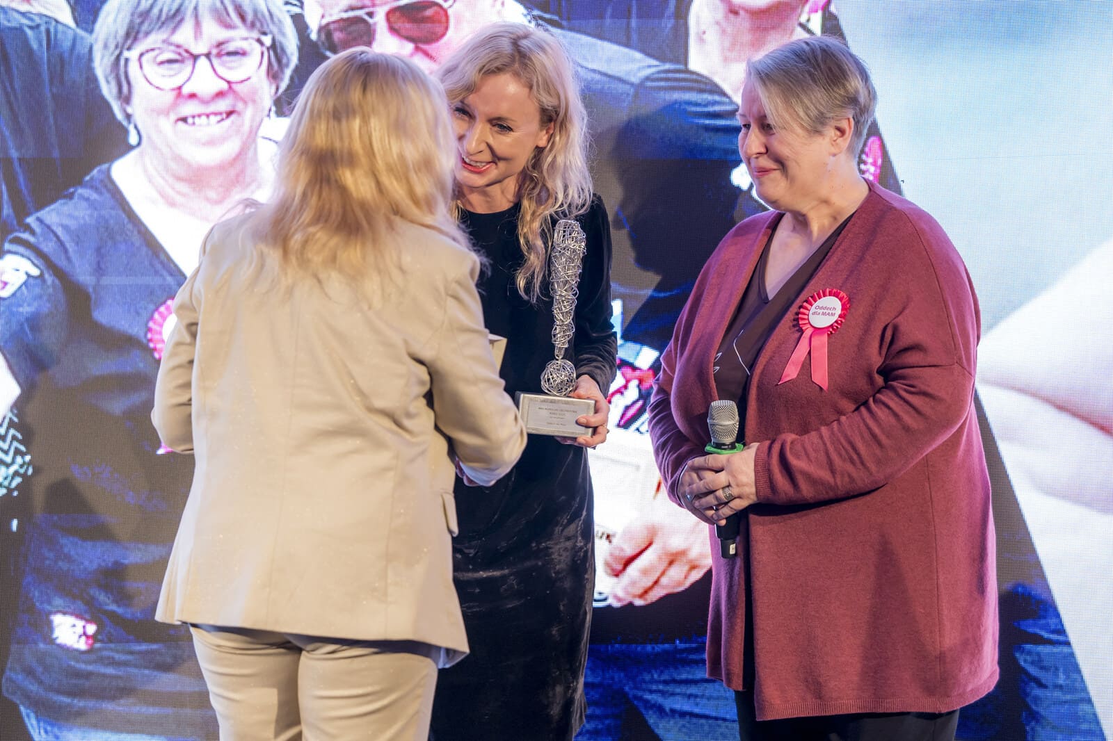 Agata Robińska, Anna Nowak, and a woman on stage during the award ceremony. The woman gives the statuette to Agata. In the background, a group photo of the project participants.